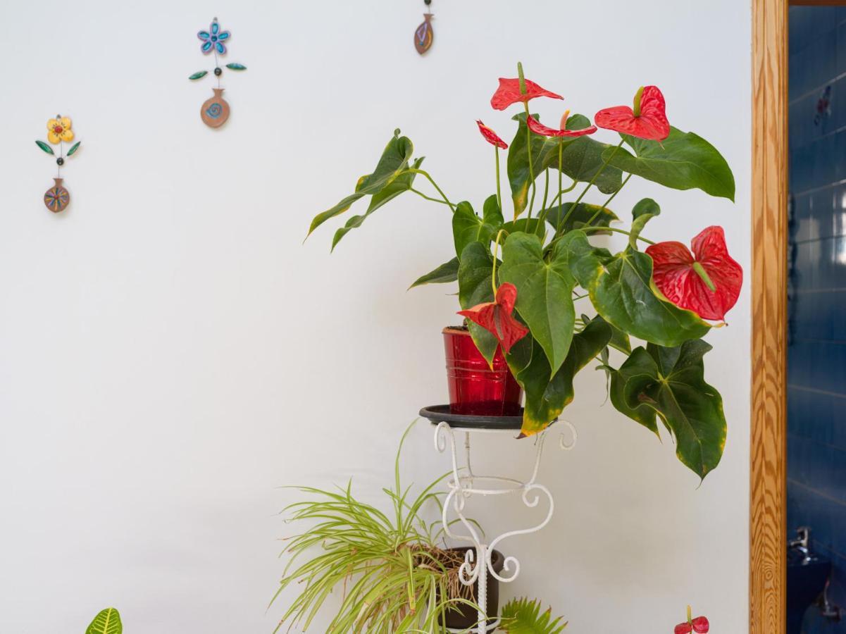 Agaete Pupe Home By Canariasgetaway Buitenkant foto